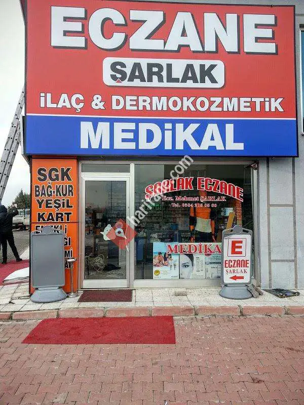 Şule Şarlak (Başkan Yardımcısı)